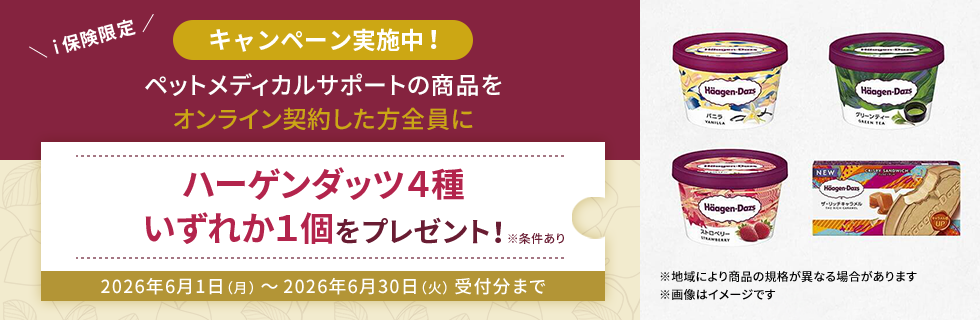 ハーゲンダッツ４種いずれか１個をプレゼント！