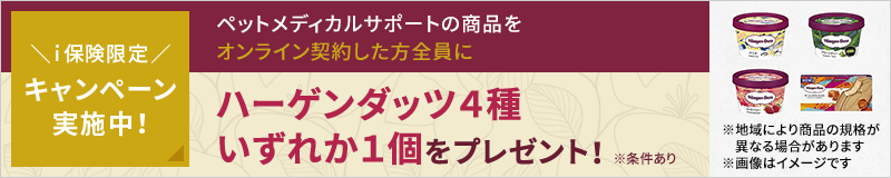 ハーゲンダッツ4種いずれか1個をプレゼント!