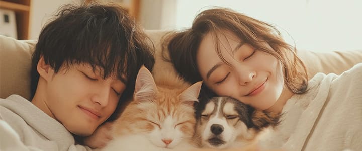 ペット保険の必要性を考える飼い主